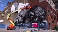 News video: Walls decorated for Canada's MURAL festival