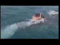 News video: Raw: Fla. Teen Catches Ride With Whale Shark
