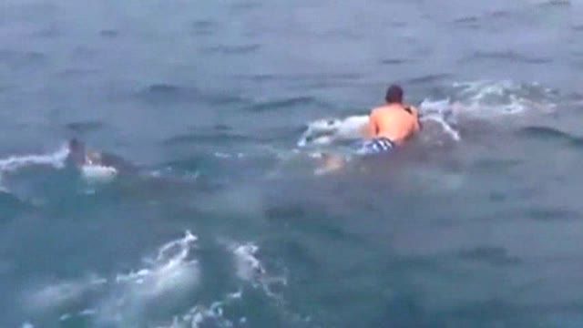 News video: Raw: Fla. Teen Catches Ride With Whale Shark