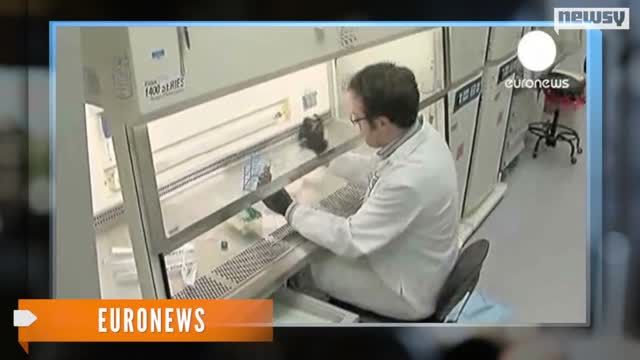 News video: What Does Ban on Gene Patents Mean for Research?