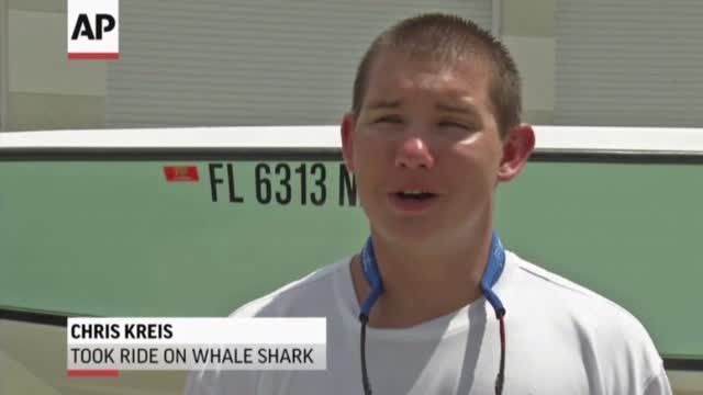 News video: Fla. Teen Catches Ride With Whale Shark